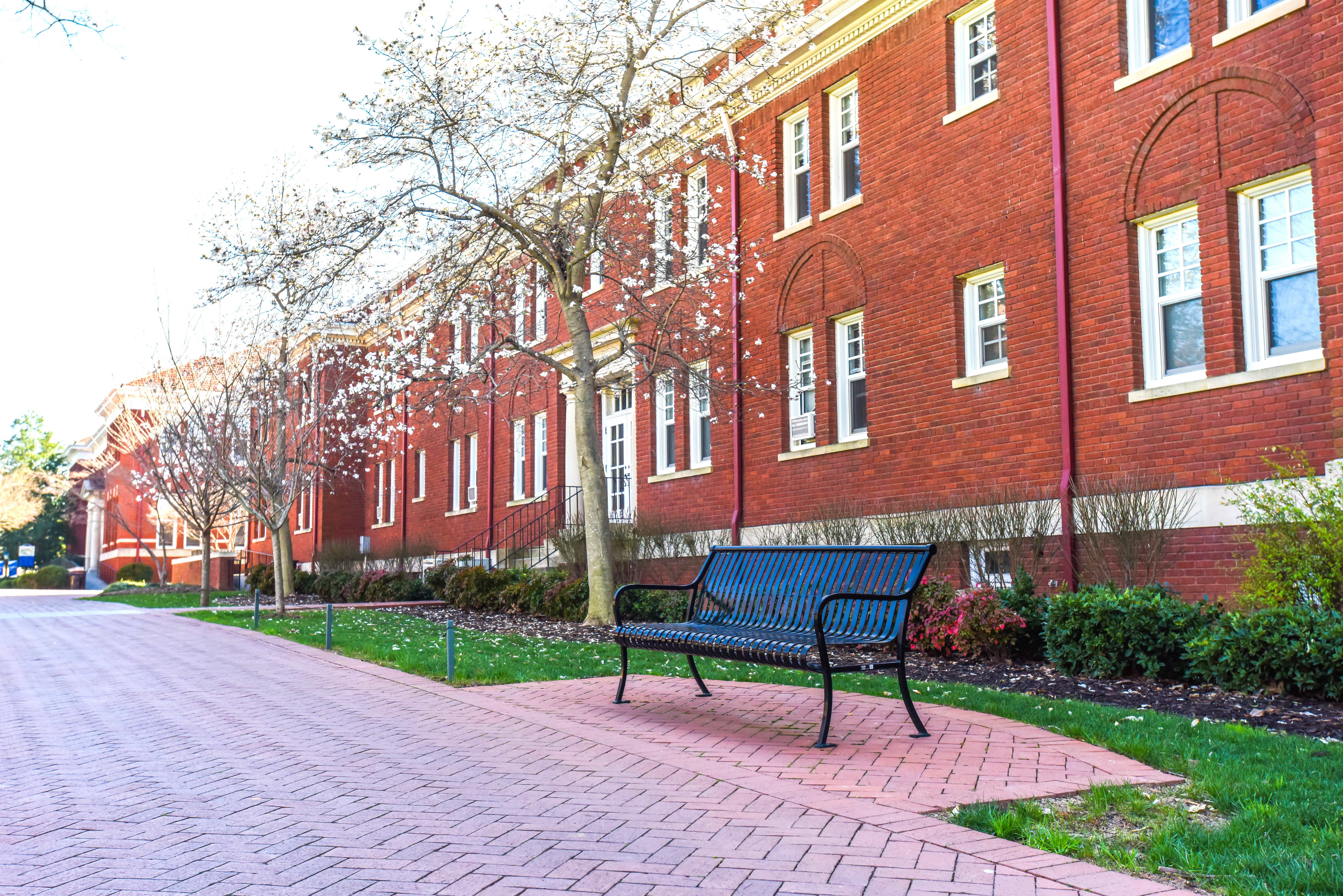 Top 6 Traditional Commercial Bench Designs | Keystone Ridge Designs